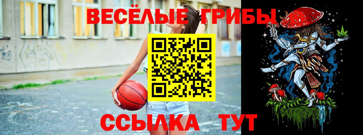 Галлюциногенные грибы мицелий  Галлюциногенные грибы прущие грибы  Вход с VPN  Валуйки 